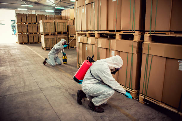 Professional Pest Control in Fort Pierce, FL