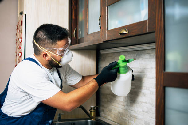 Best Commercial Pest Control Services  in Fort Pierce, FL