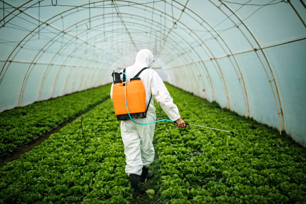 Best Pest Control Near Me in Fort Pierce, FL