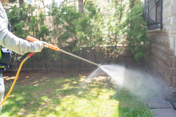 Best Residential Pest Control  in Fort Pierce, FL