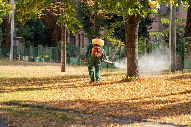 Best Affordable Pest Control Services  in Fort Pierce, FL