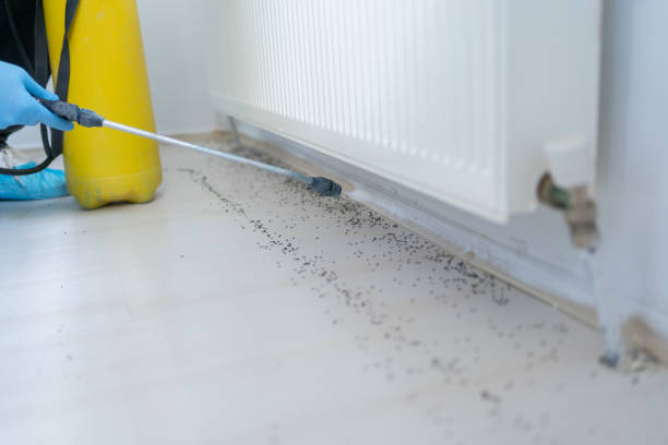 Best Pest Prevention Services  in Fort Pierce, FL