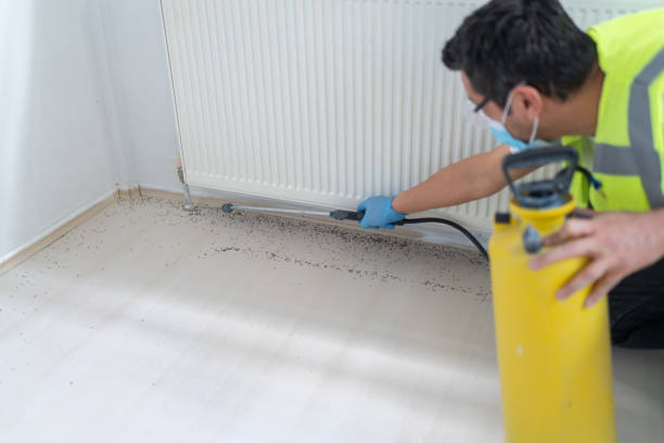 Best Exterminator Services  in Fort Pierce, FL