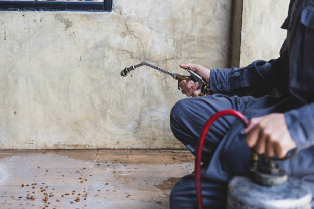 Best Pest Control Treatment  in Fort Pierce, FL