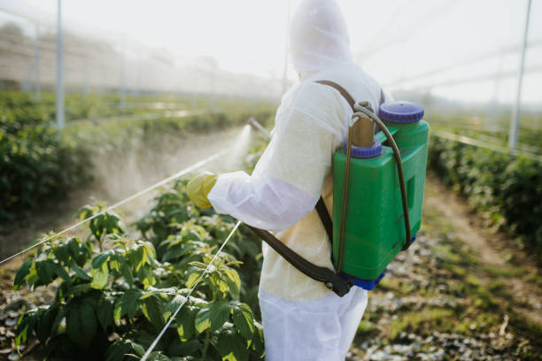 Bird Control in Fort Pierce, FL